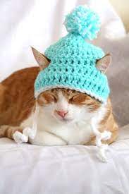 Crochet Cat Hat Pattern Beginner Friendly Crochet Pattern For Etsy In 2021 Cat Hat Pattern Crochet Cat Hat Crochet Cat Hat Pattern