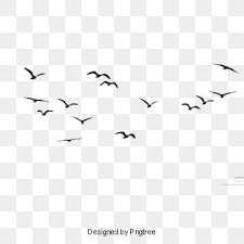Bird Png Vector Psd And Clipart With Transparent Background For Free Download Pngtree Background Flying Bird Silhouette Bird Silhouette Birds Flying