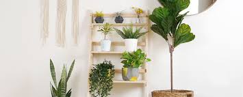 Maybe you would like to learn more about one of these? Diy Ladder Plant Stand Proflowers