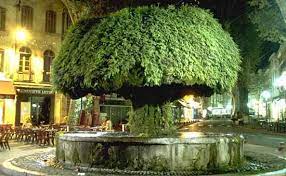 We did not find results for: Salon De Provence Visit Photos Travel Info And Hotels By Provence Beyond