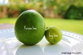 Can regular limes serve as a substitute for key limes? A Harte Appetite The Key Lime A Key Ingredient Krcu