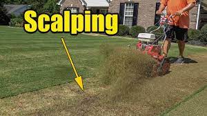 Scalping is most effective if done. Scalping Bermuda Grass Last Scalp Of The Year Youtube