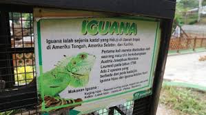 Untuk mengunjungi wisata karang resik, setiap pengunjung dikenakan tiket masuk seharga rp15 ribu. Wisata Asik Ke Taman Wisata Karang Resik Tasikmalaya Ariefpokto Com
