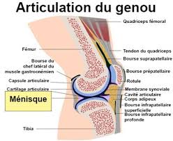 Si vous avez eu une entorse au genou, vous devez immédiatement appliquer le protocole rice Rupture Du Menisque Symptomes Traitement Definition Docteurclic Com