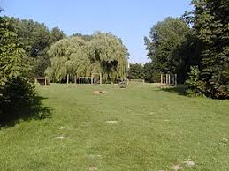 بحيرة #blaarmeersen من داخل بلجيكا مدينة #gent. Blaarmeersen Vikipedio