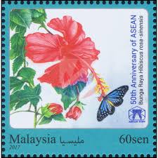 In another study, intake of alcoholic extracts of h. 50 Years Asean Malaysia Hibiscus Rosa Sinensis