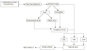 Flowchart Of Ethanol Production From Lignocellulose Raw