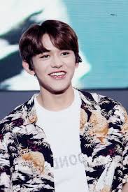 Lucas Park Music Festival Lucas Wongyukhei Yukhei Nct Nctu Nct2018 Nct Deus Te Ama Cancao
