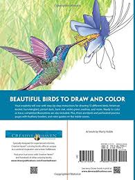 Description the american kestrel is the smallest falcon found in north america. Creative Haven Birds Draw And Color Creative Haven Coloring Books Amazon De Marty Noble Fremdsprachige Bucher