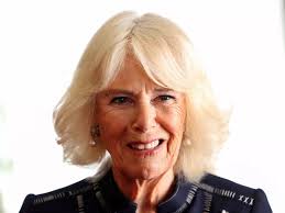 Queen Camilla's true feelings about Prince Harry's UK return unveiled in  two words