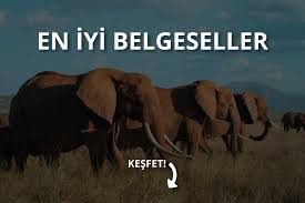 Izlenmesi Gereken En Iyi Belgeseller 2020 Instatakipci Com