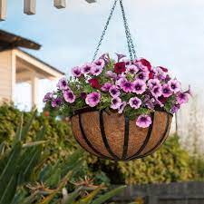 If you live near an heb you may wanna check there. 12 English Garden Hanging Basket Planters Hooks Lattice