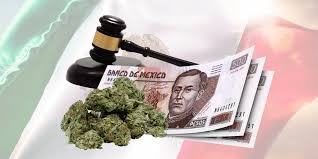 Opportunities created by legal cannabis include but are not limited to cannabis producers, processors, retailers, licensed distributors, edibles manufacturers, concentrate producers, delivery service, packaging, security service, lab analysis, app development, tech companies, marketing agencies, and cannabis industry consulting. Legal Weed In Mexico By 2021 Everything You Need To Know