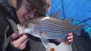 Find hidden objects game