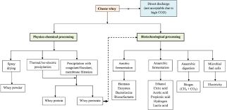 Cheese Whey A Potential Resource To Transform Into