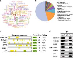 endogenous interaction profiling identifies ddx5 as an