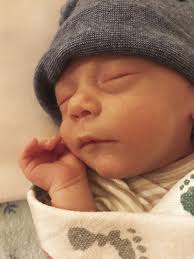 Meet Your New Neighbors