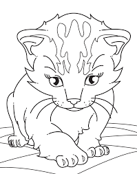 Free printable coloring pages kitty cat and frog in umbrella for kids.free kitten cat coloring pages printable. Realistic Kitten Coloring Page Images Pictures Becuo Cat Coloring Page Kitty Coloring Kitten Drawing