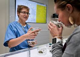 Dispensary listings in las vegas; Two Las Vegas Marijuana Dispensaries Ranked Among The Best Las Vegas Sun Newspaper