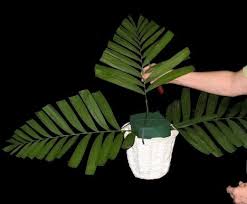 Marvel fashion trends, flower arrangement for church altars, silk flower arrangements for church altars, flower arrangement. Church Wedding Flower Arrangements Diy Large Altar Sprays