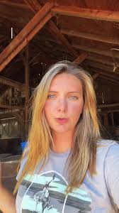 Starting Gate at Great Horse Food