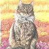 Dessin de chat simple, photo de chat a dessiner facile gallery avec 10568488 et, chat dessin this dessin de chat simple graphic has 24 dominated colors, which include white, black, light gray. 1