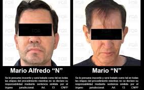 La Facultad de Medicina Veterinaria y Zootecnia de la UAS siembra en las  nuevas generaciones la semilla del cuidado a los animales y la naturaleza