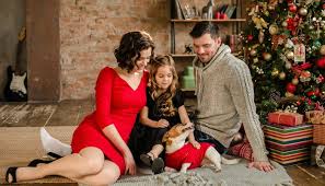 The best christmas dog movies will put a smile on any pet lover's face! 82 Heartwarming Christmas Dog Movies Infographic