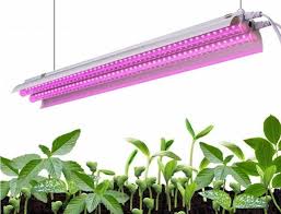This shape has many advantages both below we will give an overview of each, as all are relevant to understand, particularly when wading through the myriad of grow light options and. 6 Ways To Maximize The Benefits Of Led Grow Lights