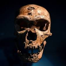 Homo sapiens were still playing around in africa. 90 000 Year Old Bone Is Evidence Of Interbreeding Of Neanderthals And Denisovans