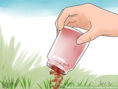 Maybe you would like to learn more about one of these? 26 Best Mothballs Uses For Cats N Snails Ideas In 2021 Cat Repellant Cats Cat Repellant Outdoor