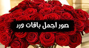أجمل عبارات تهنئة عيد ميلاد سعيد 2022 كلام عيد ميلاد للأصدقاء ,كثيرا ما نبحث عن كلمات ذات لحن وعبارات جديدة لتهنئة اقاربنا او أصدقائنا او الاهل و الاحباب ÙˆØ±ÙˆØ¯ Ù…ÙƒØªÙˆØ¨ Ø¹Ù„ÙŠÙ‡Ø§ Ø§Ø³Ù…Ø§Ø¡ ØµÙˆØ± Ø±Ø§Ø¦Ø¹Ù‡ Ù…ÙƒØªÙˆØ¨ Ø¹Ù„ÙŠÙ‡Ø§ Ø§Ø³Ù…Ø§Ø¡ ØµÙˆØ± Ø¨Ù†Ø§Øª