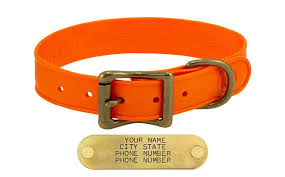 In fact, learning how to measure your dog for harnesses, clothes, or pet costumes is harder than you'd think. Wigwag 1 In Small Dog Collar Fits 12 15 In Neck 23 99