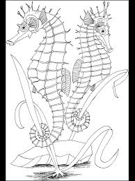 See more ideas about coloring books, coloring pages, marine life. Free Printable Ocean Coloring Pages For Kids