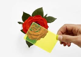 The Golden Section Finder A Transparent Viewfinder For Observing The Golden Ratio Golden ratio theory | basics for beginners. the golden section finder a