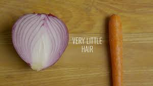 AVの幻想とリアルの差を食べ物で表現するとこうなる - GIGAZINE