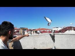 Istanbul Edirne Kapi Guvercin Pazari 1 Bolum Youtube