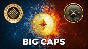 But the risks in 2021 are growing — at their core, cryptocurrencies only serve to transfer wealth from one party to another. Quora Inner Circle Feed Telegram