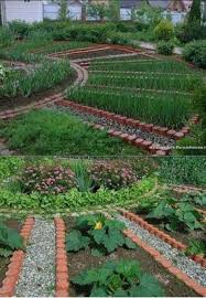 Garden In 2020 Vegetable Garden Design Backyard Vegetable Gardens Home Vegetable Garden
