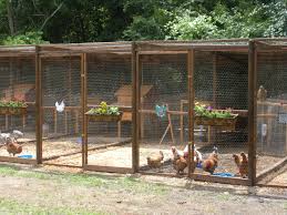 Chicken pens also offer your chickens an additional safety net when compared to free range chickens, and chickens that are let loose in a backyard. Pugbug S Album New Chicken Pens Photo 3 Of 3 Chicken Pen Raising Chickens Chicken Coop