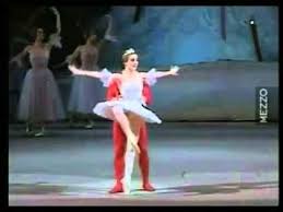 Nutcracker Grand Pas De Deux Bolshoi Ballet Erek Muhamedov Ballett Nussknacker