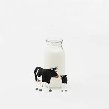 Differences Between Heavy Cream Light Cream Whipping Cream Milk Cream Light Cream