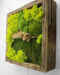 Sofas, chairs, stools, ottomans, coffee tables, dining tables if you have an empty wall in a room of your house and you are dying to spice it up, then you can't go wrong. 20 Living Room Wall Art Ideas Moss Wall Art Moss Wall Moss Art