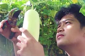 SEARCA's Response to the COVID-19 Pandemic