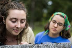 7 Rochester classes that'll make you want to go back to college ASAP