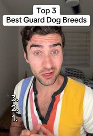 Jacob Stacy and Marlborough Breed