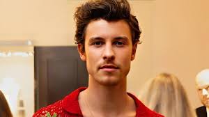 Biodata dan Agama Shawn Mendes yang Keciduk Salat Jumat, Benarkah Belum  Islam?