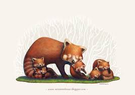 A Good Mom Red Panda Version By Minitreehouse On Deviantart Panda Art Red Panda Red Panda Baby