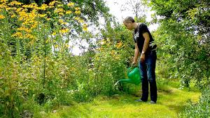 Falsches gießen bei hitze aber auch. Richtig Giessen Tipps Infos Und Anleitungen Auf Gartennatur Com