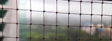Maybe you would like to learn more about one of these? Bird Netting Bird Deterrents Peter Cox